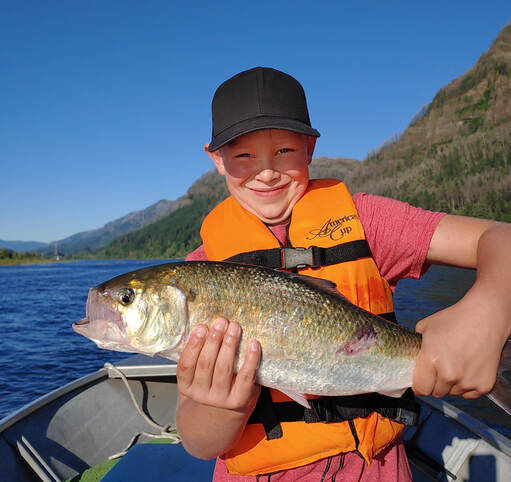 Young boy fly fisher with a shad on the Columbia River