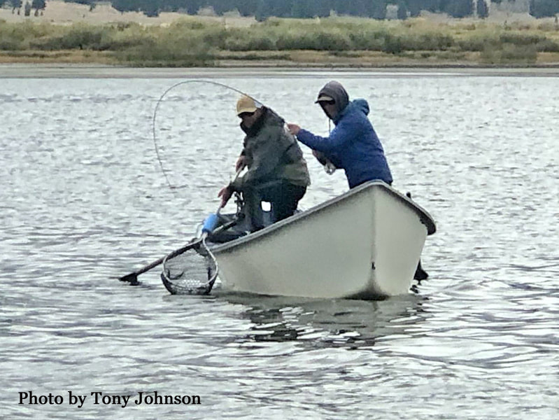 stillwater, fly fishing, trout, Henrys Lake, Idaho