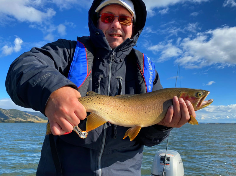 Henrys Lake, Idaho, trout, fly fishing, hybrid
