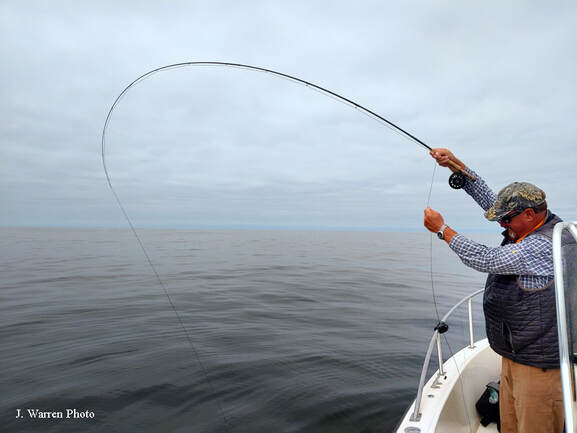 Pacific Ocean, Oregon Coast, Depoe Bay, saltwater fly fishing, rockfish, fly, fly rod, fly reel