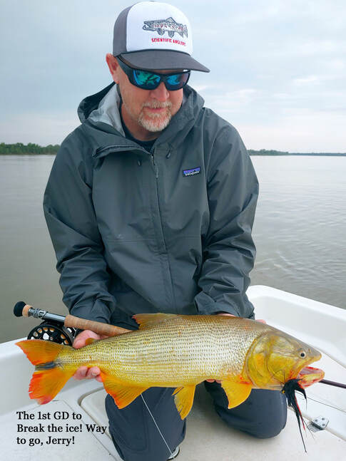 on the fly, fly fishing, streamer, golden dorado, Parana River, Argentina, gold fish, fish predator