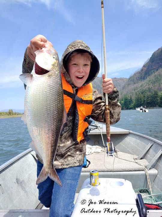 Columbia River, shad fly fishing, American shad