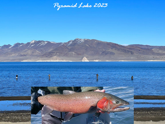 Pyramid lake, NV, fly fishing, Pilot Peak, Summit, Lahohtan cutthroat, trout, Paiute Indian Reservation