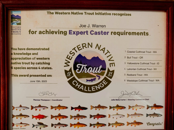 Joe Warren, Western Native Trout Challenge, Expert Caster